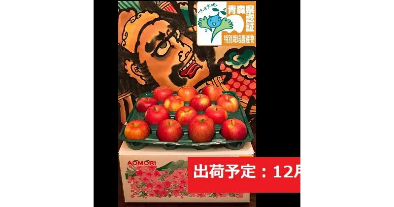 【ふるさと納税】りんご 【 12月発送 】 訳あり 家庭用 葉とらず サンふじ 約 10kg 青森県特別栽培農産物認証農園 【 弘前市産 青森りんご 】　果物類・林檎・りんご・リンゴ　お届け：2024年12月1日～2024年12月30日