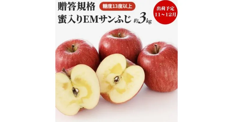 【ふるさと納税】りんご 【 11月 ～ 12月発送 】 贈答規格 蜜入り EM サンふじ 約 3kg 糖度 13度以上 【 弘前市産 青森りんご 】 リンゴ 果物 青森 弘前 ふじ 贈答　果物類・林檎・りんご・リンゴ　お届け：2024年11月20日～2024年12月28日