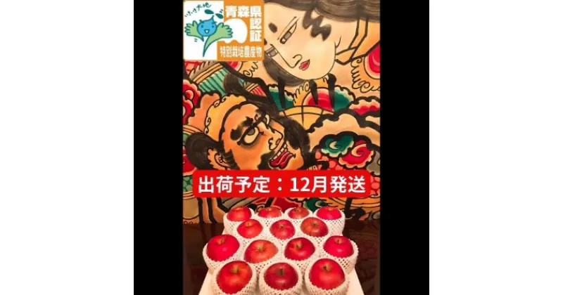 【ふるさと納税】りんご 【 12月発送 】 特選 サンふじ 約 5kg （14～18玉程度） 青森県特別栽培農産物認証農園 【 弘前市産 青森りんご 】　果物類・林檎・りんご・リンゴ　お届け：2024年12月1日～2024年12月25日