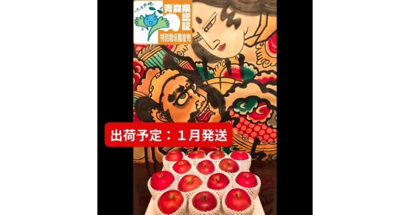 【ふるさと納税】りんご 【 1月発送 】 特選 サンふじ 約 5kg （14～18玉程度） 青森県特別栽培農産物認証農園 【 弘前市産 青森りんご 】　果物類・林檎・りんご・リンゴ　お届け：2025年1月6日～2025年1月31日