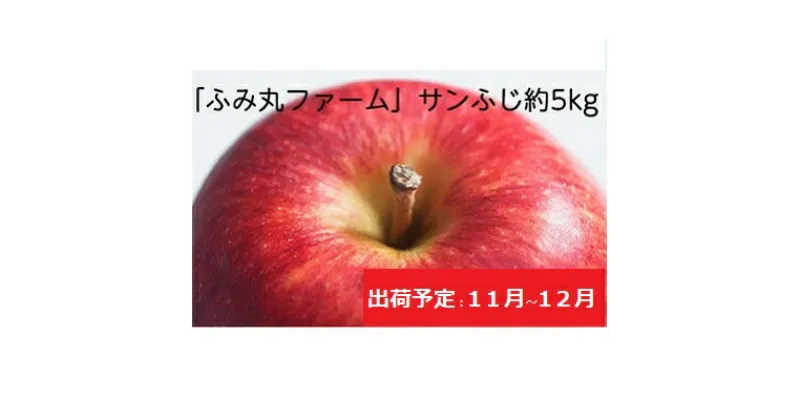 【ふるさと納税】11月～12月発送 ふみ丸ファーム 最高等級「特選」 サンふじ 約5kg 【 弘前市産 青森りんご 】※オンライン決済のみ　果物類・林檎・りんご・リンゴ　お届け：2024年11月15日～2024年12月30日