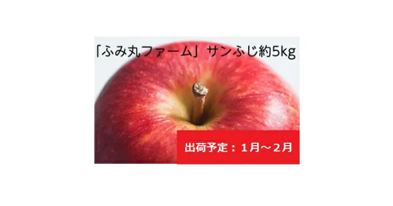 【ふるさと納税】1月～2月発送 ふみ丸ファーム 最高等級「特選」 サンふじ 約5kg 【弘前市産・青森りんご】　果物類・林檎・りんご・リンゴ　お届け：2025年1月6日～2025年2月28日