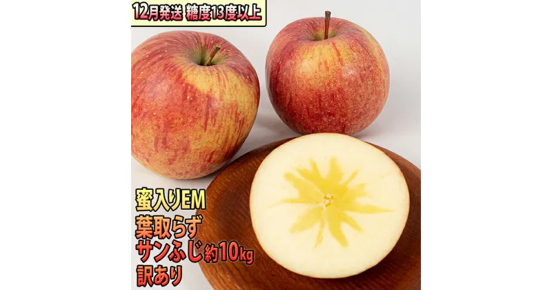 【ふるさと納税】りんご 【 12月発送 】 訳あり 蜜入り EM 葉取らず サンふじ 約 10kg 糖度 13度以上 【 弘前市産 青森りんご 】 リンゴ 果物 青森 弘前 家庭用　果物類・林檎・りんご・リンゴ・サンふじ　お届け：2024年12月1日～2024年12月28日