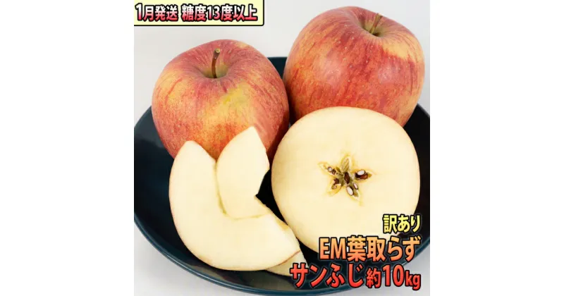 【ふるさと納税】りんご 【 1月発送 】 訳あり EM 葉取らず サンふじ 約 10kg 糖度 13度以上 【 弘前市産 青森りんご 】 リンゴ 果物 青森 弘前 家庭用　果物類・林檎・りんご・リンゴ・サンふじ　お届け：2025年1月6日～2025年1月31日