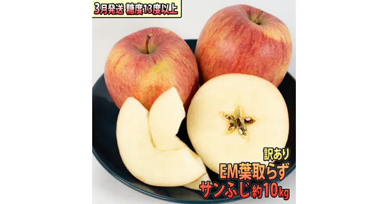 【ふるさと納税】りんご 【 3月発送 】 訳あり EM 葉取らず サンふじ 約 10kg 糖度 13度以上 【 弘前市産 青森りんご 】 リンゴ 果物 青森 弘前 家庭用　果物類・林檎・りんご・リンゴ・サンふじ・約10kg・訳あり　お届け：2025年3月1日～2025年3月31日