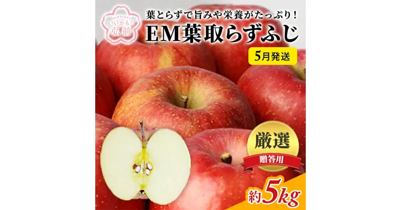 【ふるさと納税】りんご 【 5月発送 】 贈答用 EM 葉取らず ふじ 約 5kg ( 有袋栽培 CA貯蔵 )【 弘前市産 青森りんご 】 リンゴ 果物 青森 弘前 贈答　 弘前市 　お届け：2025年5月10日～2025年5月31日