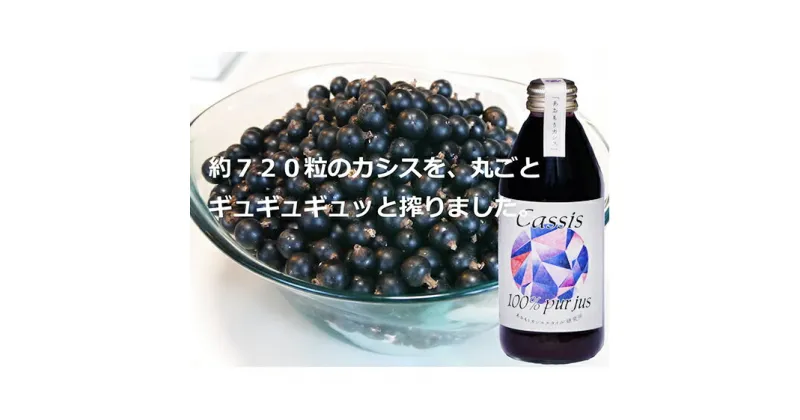 【ふるさと納税】カシス果汁100％ジュース（無加糖・無添加）　250ml×2本　果汁飲料・ジュース