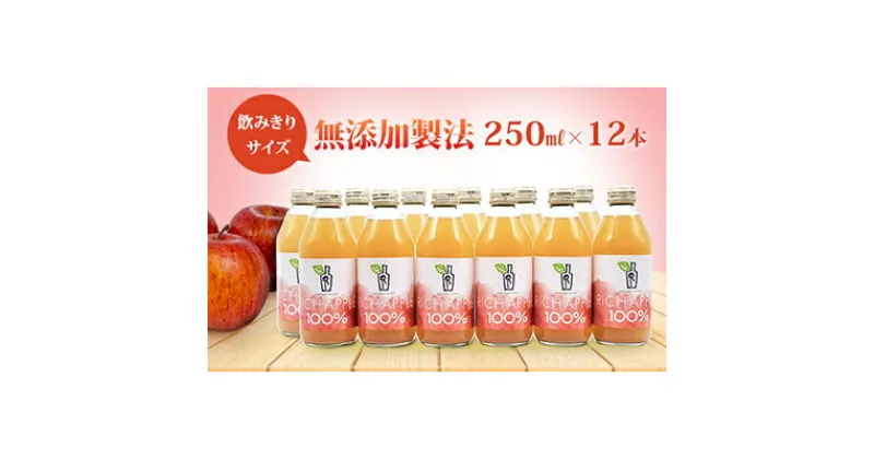 【ふるさと納税】りんごジュース RICH APPLE　無添加製法　12本セット（250ml×12本）　りんご・ジュース・飲料類・果汁飲料・セット