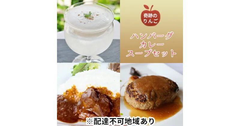 【ふるさと納税】奇跡のりんご使用　ハンバーグ・カレー・冷製スープ 各1個セット　加工品・惣菜・冷凍・お肉・ハンバーグ・牛肉　お届け：※月曜日　及び　12/28～1/5　4/25～5/5　8/13　を除く