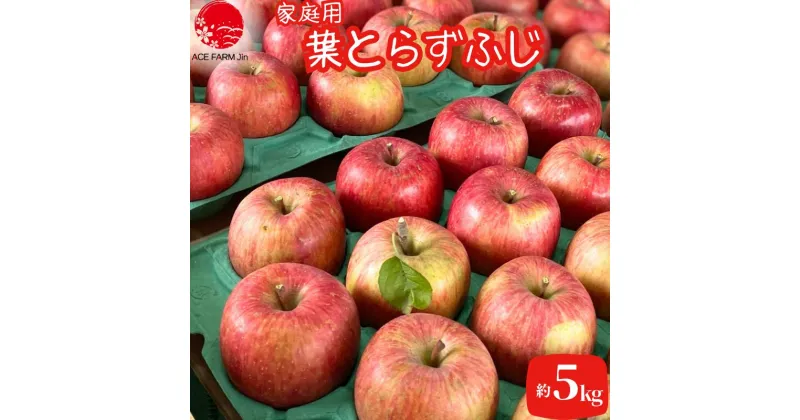 【ふるさと納税】【数量限定】11～12月発送 家庭用葉とらずふじ約5kg【弘前市産・青森りんご】　果物類・林檎・りんご・リンゴ・ふじ・5kg　お届け：2024年11月1日～2024年12月25日