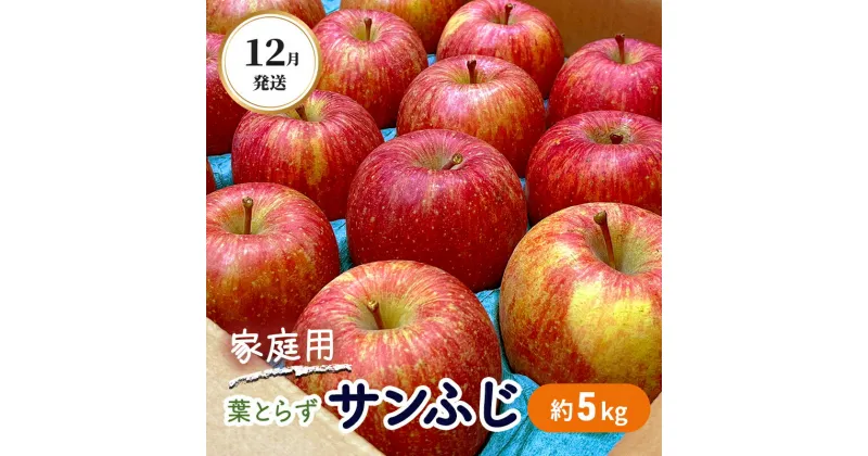 【ふるさと納税】12月発送 家庭用 葉とらず サンふじ 約5kg【弘前市産・青森りんご】　果物類・林檎・りんご・リンゴ　お届け：2024年12月10日～2024年12月30日