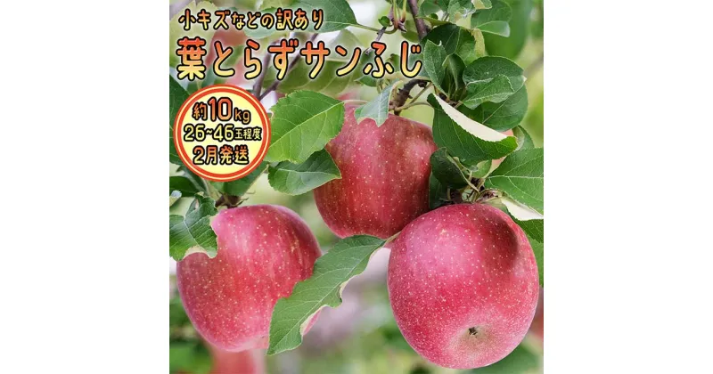 【ふるさと納税】2月発送 訳あり 葉とらず サンふじ 約10kg【弘前市産・青森りんご】　果物類・林檎・りんご・リンゴ　お届け：2025年2月1日～2025年2月28日