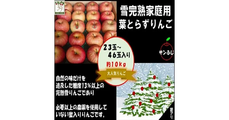 【ふるさと納税】りんご 【 数量限定 】12月発送 訳あり 蜜入り 糖度13度以上 家庭用 雪完熟 葉とらずサンふじ 約 10kg 23～46個【 弘前市産 青森りんご 】　果物類・林檎・りんご・リンゴ　お届け：2024年12月1日～2024年12月30日