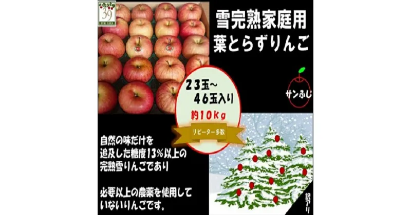 【ふるさと納税】りんご 【 数量限定 】1～2月発送 訳あり 糖度13度以上 家庭用 雪完熟 葉とらずサンふじ 約 10kg 23～46個【 弘前市産 青森りんご 】　果物類・林檎・りんご・リンゴ　お届け：2025年1月6日～2025年2月28日