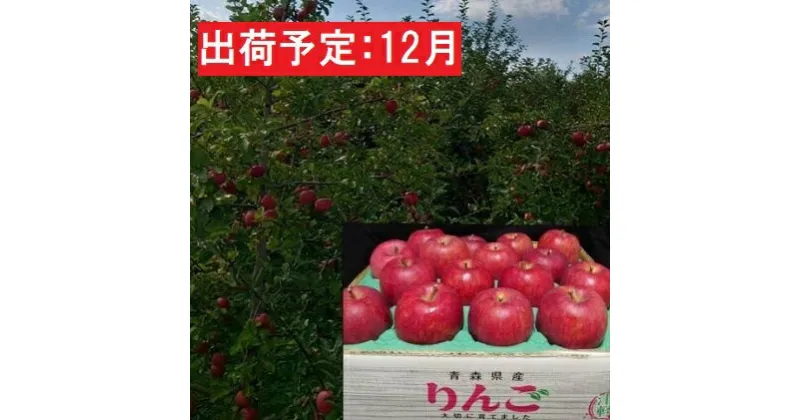 【ふるさと納税】12月発送 蜜入り 最高等級「特選」大玉 葉とらず サンふじ 約5kg 糖度14度以上 【弘前市産・青森りんご】　果物類・林檎・りんご・リンゴ・サンふじ・フルーツ・最高等級・約5kg　お届け：2024年12月1日～2024年12月30日