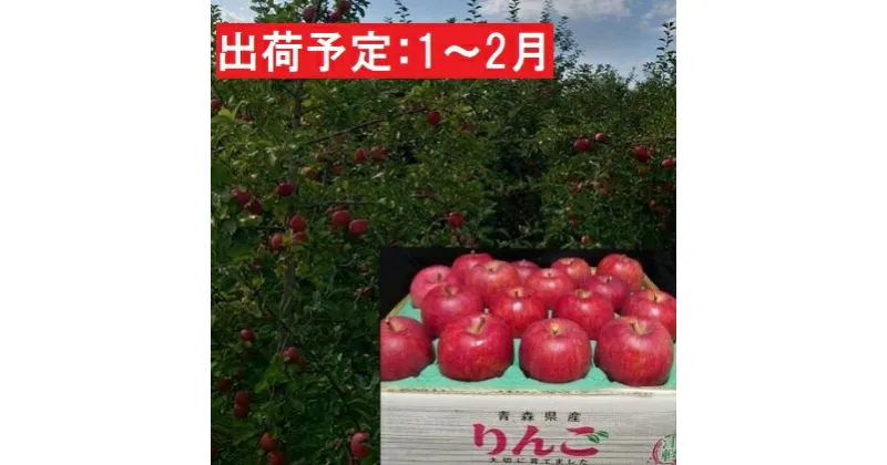 【ふるさと納税】1月～2月発送 最高等級「特選」大玉 葉とらず サンふじ 約5kg 糖度14度以上 【弘前市産・青森りんご】　果物類・林檎・りんご・リンゴ・サンふじ・フルーツ・最高等級・約5kg　お届け：2025年1月6日～2025年2月28日