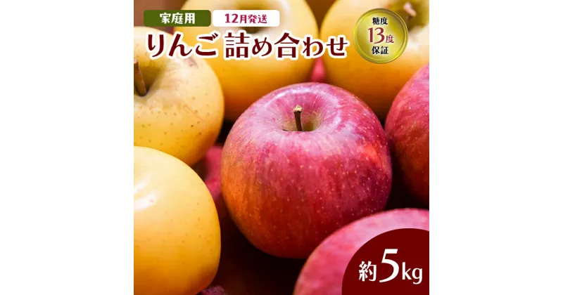 【ふるさと納税】12月発送 家庭用 りんご詰め合わせ 約5kg 2種以上 糖度13度以上 岩木山観光りんご園 弘前市産 青森りんご サンふじ　果物類・林檎・りんご・リンゴ・特A・フルーツ　お届け：2024年12月1日～2024年12月28日