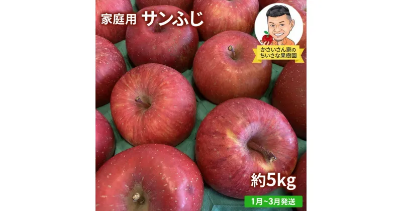 【ふるさと納税】【1月～3月発送】家庭用 サンふじ 約 5kg 【弘前市産・青森りんご】　 果物類 フルーツ 林檎 リンゴ 津軽 青森県産 秋の味覚 おやつ デザート 　お届け：2025年1月10日～2025年3月31日