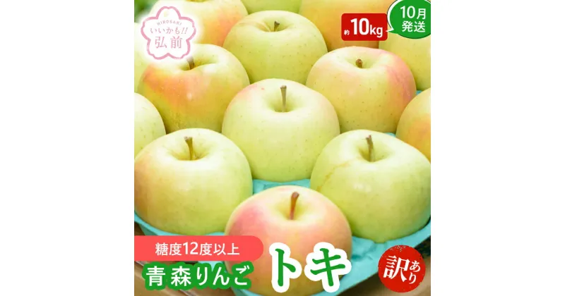 【ふるさと納税】【10月発送】（12.5度糖度保証）訳あり品トキ約10kg【弘前市産・青森りんご】　 果物類 美味しい 採れたて 選りすぐり 高糖度 12.5度 ご家庭用 甘さ 驚き 果汁 土壌 肥料 プレセント 　お届け：2024年10月1日～2024年10月31日