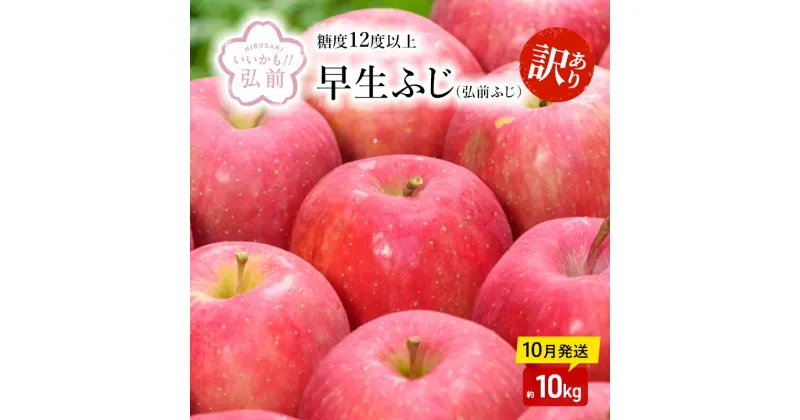 【ふるさと納税】【10月発送】（12.5度糖度保証）訳あり品弘前ふじ約10kg【弘前市産・青森りんご】　 果物類 美味しい 採れたて 選りすぐり 高糖度 12.5度 ご家庭用 甘さ 驚き 果汁 土壌 肥料 プレセント 　お届け：2024年10月1日～2024年10月31日