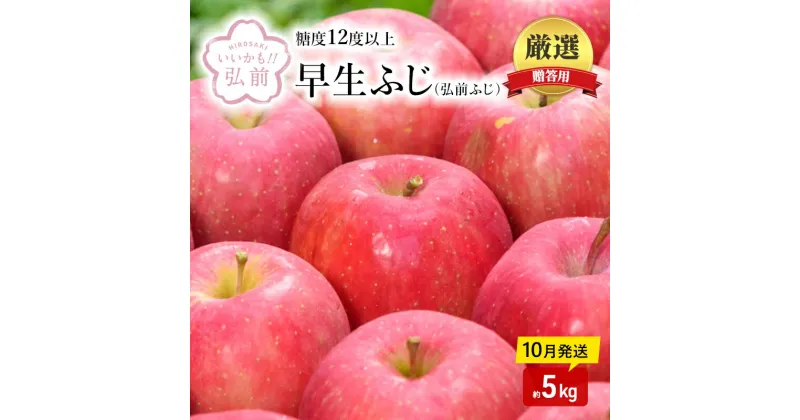 【ふるさと納税】【10月発送】（12.5度糖度保証）贈答用弘前ふじ約5kg【弘前市産・青森りんご】　 果物類 美味しい 採れたて 選りすぐり 高糖度 12.5度 甘さ 驚き 果汁 土壌 肥料 プレセント 　お届け：2024年10月1日～2024年10月31日