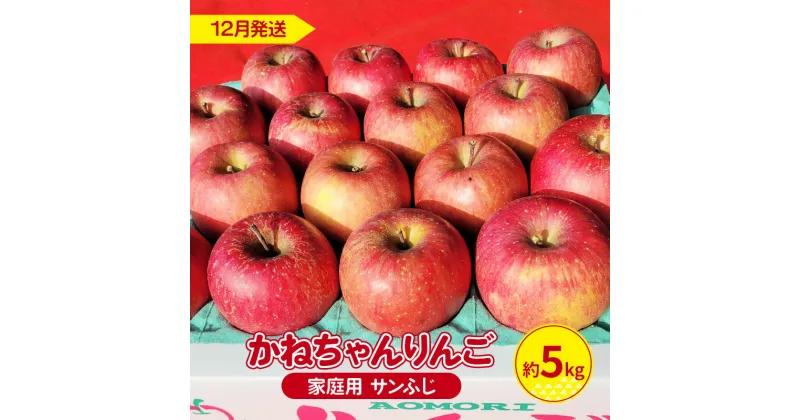 【ふるさと納税】【12月発送】かねちゃんりんご 家庭用 サンふじ 約 5kg【弘前市産 青森りんご】　 果物 フルーツ デザート 食後 おやつ 産地直送 代表 品種 甘い 濃い シャキシャキ ポリフェノール アップル 果実 　お届け：2024年12月1日～2024年12月27日