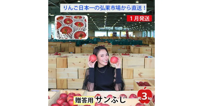 【ふるさと納税】りんご 【 1月発送 】 贈答用 サンふじ 約 3kg 【 弘前市産 青森りんご 】　 果物 フルーツ デザート 食後 青森県産 産地直送 贈り物 　お届け：2025年1月10日～1月29日