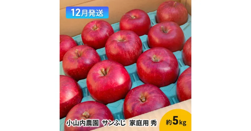 【ふるさと納税】【12月発送】小山内農園 サンふじ 家庭用 秀 約5kg【弘前市産 青森りんご】　 果物 フルーツ デザート 食後 青森県産 産地直送 　お届け：2024年12月1日～2024年12月27日