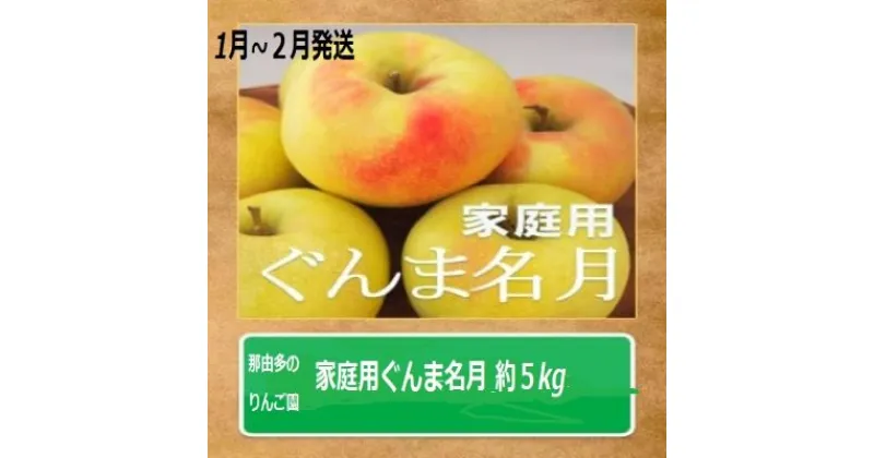 【ふるさと納税】りんご 【1～2月発送】【訳あり】家庭用 ぐんま名月 約5kg 糖度13度以上（糖度証明書付き）【 弘前市産 青森りんご 】　 果物類 フルーツ スイーツ こだわり 甘い ジューシー 香り 高糖度 美味しい 　お届け：2025年1月10日～2025年2月28日