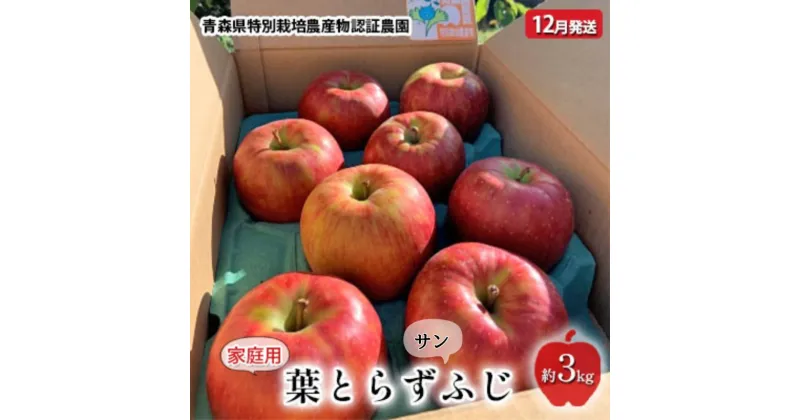 【ふるさと納税】りんご 【 12月発送 】 家庭用 葉取らず サンふじ 約 3kg 青森県特別栽培農産物認証農園 【 弘前市産 青森りんご 】　 果物 フルーツ デザート おやつ 旬の果物 旬のフルーツ 　お届け：2024年12月1日～2024年12月28日