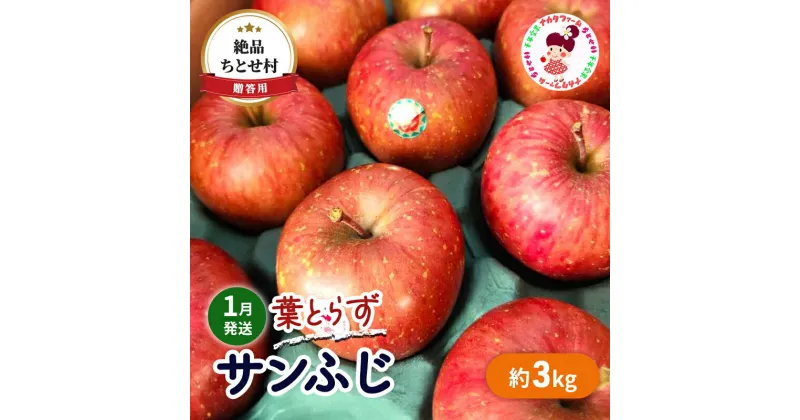 【ふるさと納税】【1月発送】贈答用 絶品 ちとせ村 葉とらずサンふじ 約3kg【弘前市産・青森りんご】　 果物 フルーツ デザート 食後 国産 食べ物 贈り物 ギフト 　お届け：2025年1月6日～2025年1月31日