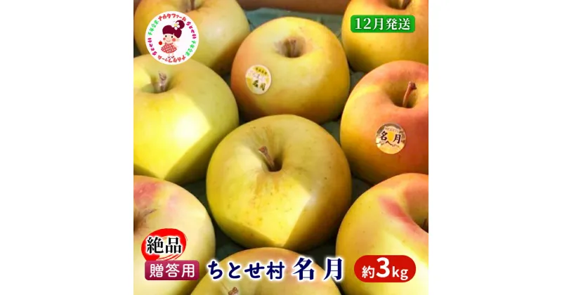 【ふるさと納税】【12月発送】贈答用 絶品ちとせ村 名月 約3kg【弘前市産・青森りんご】　 果物 フルーツ デザート 食後 国産 食べ物 贈り物 ギフト 　お届け：2024年12月1日～2024年12月20日