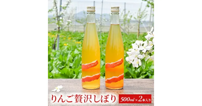 【ふるさと納税】りんご贅沢しぼり500ml（2本入り）　 飲料類 果汁飲料 飲み物 100％ストレートジュース りんごジュース 完熟りんご アップルジュース