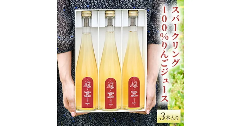 【ふるさと納税】スパークリング100%りんごジュース（3本入り）　 飲料類 果汁飲料 飲み物 りんご果汁100％ アップルジュース 炭酸飲料 すっきり