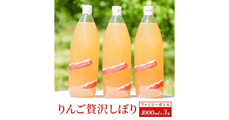 【ふるさと納税】りんご贅沢しぼり【ファミリーボトル 1000ml 3本入】　 飲料類 果汁飲料 飲み物 100％ストレートジュース りんごジュース 完熟りんご アップルジュース