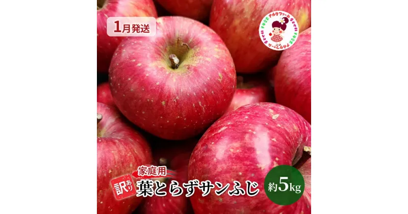 【ふるさと納税】【1月発送】訳あり 家庭用 ちとせ村 葉とらずサンふじ 約5kg【弘前市産・青森りんご】　 果物 フルーツ 産地直送 青森のりんご 食後 デザート おやつ 　お届け：2025年1月6日～2025年1月31日