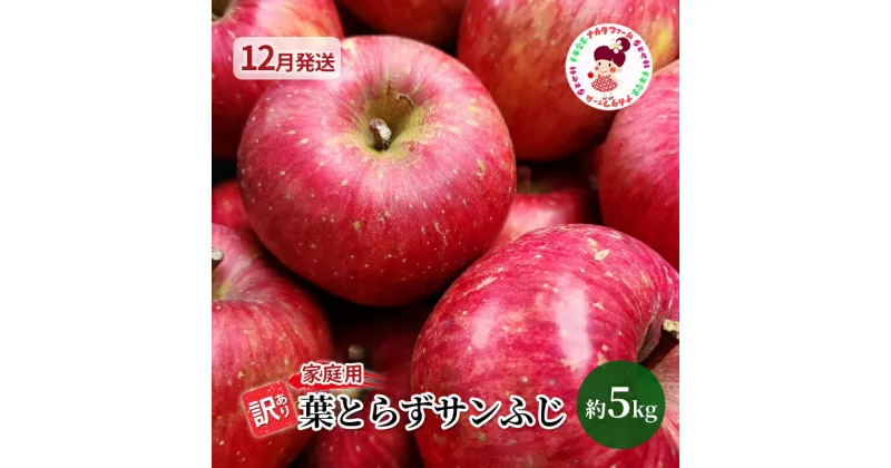 【ふるさと納税】【12月発送】訳あり 家庭用 ちとせ村 葉とらずサンふじ 約5kg【弘前市産・青森りんご】　 果物 フルーツ 産地直送 青森のりんご 食後 デザート おやつ 　お届け：2024年12月1日～2024年12月20日