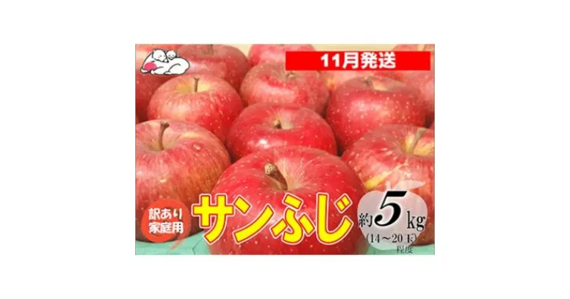 【ふるさと納税】【11月発送】白熊 訳あり家庭用 サンふじ 約5kg 糖度13度【弘前市産 青森りんご】　 果物 フルーツ 食後 デザート シャキシャキ ジューシー りんごの王様 　お届け：2024年11月25日～2024年11月30日