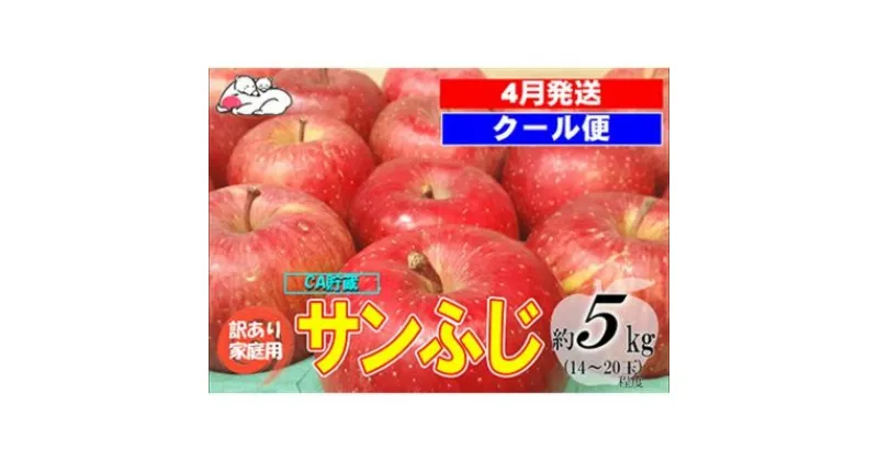 【ふるさと納税】【クール便】4月発送 白熊 訳あり家庭用 サンふじ 約5kg 糖度13度【弘前市産 青森りんご・CA貯蔵】　 果物 フルーツ 食後 デザート シャキシャキ ジューシー りんごの王様 　お届け：2025年4月1日～2025年4月30日