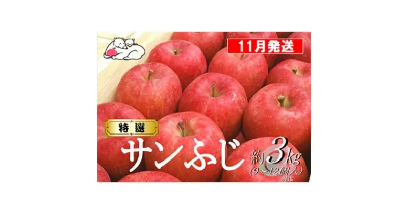 【ふるさと納税】【11月発送】白熊 特選 サンふじ 絆 約3kg 糖度13度【弘前市産 青森りんご】　 果物 フルーツ 食後 デザート シャキシャキ ジューシー りんごの王様 　お届け：2024年11月25日～2024年11月30日