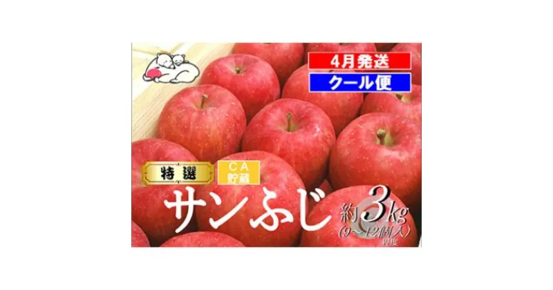 【ふるさと納税】【クール便】4月発送 白熊 特選 サンふじ 絆 約3kg 糖度13度【弘前市産 青森りんご・CA貯蔵】　 果物 フルーツ 食後 デザート シャキシャキ ジューシー りんごの王様 　お届け：2025年4月1日～2025年4月30日