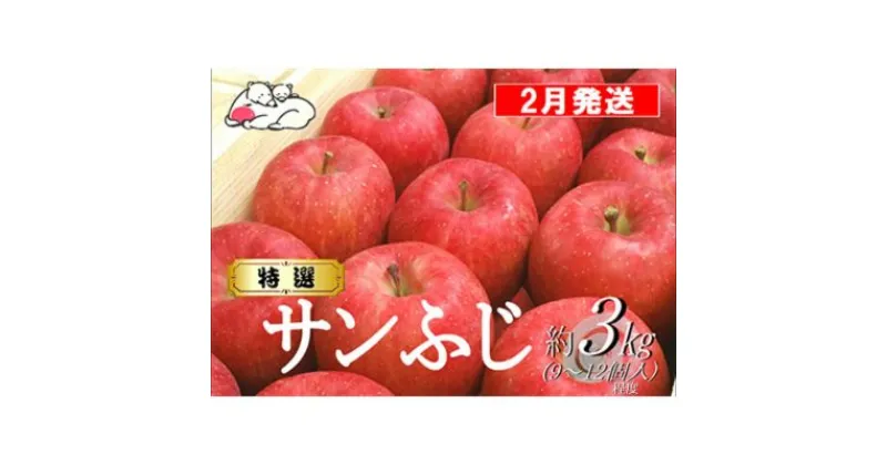 【ふるさと納税】【2月発送】白熊 特選 サンふじ 絆 約3kg 糖度13度【弘前市産 青森りんご】　 果物 フルーツ 食後 デザート シャキシャキ ジューシー りんごの王様 　お届け：2025年2月1日～2025年2月28日