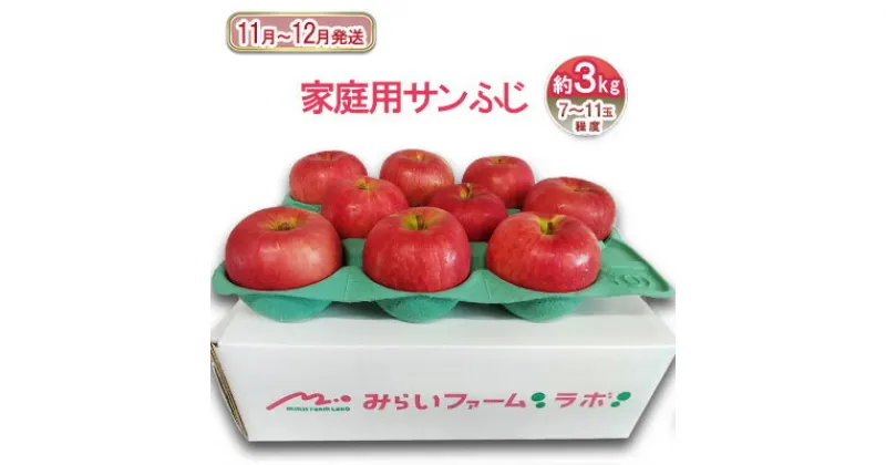 【ふるさと納税】11月～12月発送 家庭用 サンふじ 約 3kg【弘前市産 青森りんご】　 果物 フルーツ デザート 高糖度 ジューシー 旬の果物 　お届け：2024年11月20日～2024年12月20日