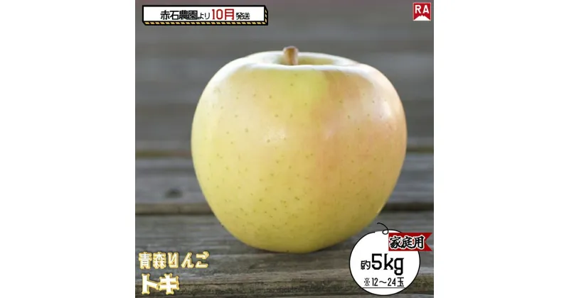 【ふるさと納税】りんご 【 10月発送 】家庭用 トキ 約 5kg 【 弘前市産 青森りんご 】　 果物 フルーツ 食後 デザート 黄色りんご 濃厚な甘み 爽やかな香り 果汁たっぷり 　お届け：2024年10月15日～2024年10月31日