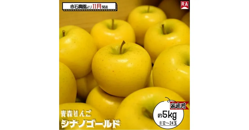 【ふるさと納税】りんご 【 11月発送 】 家庭用 シナノゴールド 約 5kg 【 弘前市産 青森りんご 】　 果物 フルーツ 食後 デザート 旬の果物 旬のフルーツ 果汁が多い 爽やかな風味 　お届け：2024年11月1日～2024年11月30日