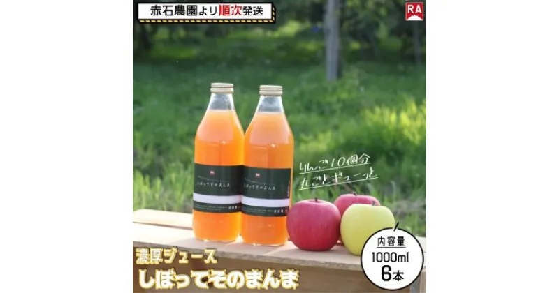 【ふるさと納税】【順次出荷】 濃厚りんごジュース『しぼって そのまんま』 1L×6本　 飲料類 果汁飲料 添加物不使用 りんご100％ジュース アップルジュース 飲み物