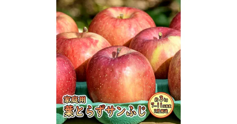 【ふるさと納税】2月発送 家庭用 葉とらずサンふじ 約3kg 【弘前市産・青森りんご】　 果物 フルーツ 食後 デザート りんご ほど良い酸味 甘み 　お届け：2025年2月1日～2025年2月28日