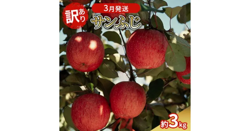 【ふるさと納税】3月発送 訳あり サンふじ 約3kg 【弘前市産・青森りんご】　弘前市　お届け：2025年3月1日～2025年3月29日