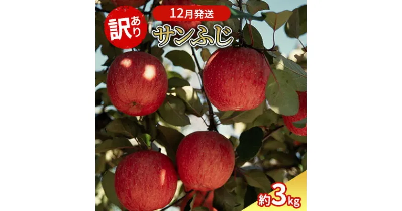 【ふるさと納税】12月発送 訳あり サンふじ 約3kg 【弘前市産・青森りんご】　弘前市　お届け：2024年12月1日～2024年12月25日