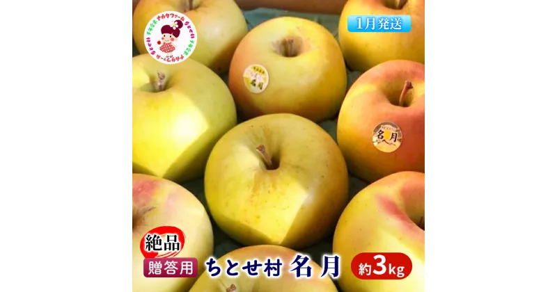 【ふるさと納税】【1月発送】贈答用 絶品 ちとせ村 名月 約3kg【弘前市産・青森りんご】　果物類・林檎・りんご・リンゴ　お届け：2025年1月6日～2025年1月31日